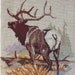 Animals Wild Counted Cross Stitch