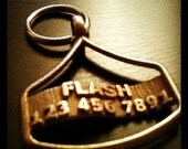 Pet Identification Tag - Custom 3D Wave Dog or Cat ID Tag