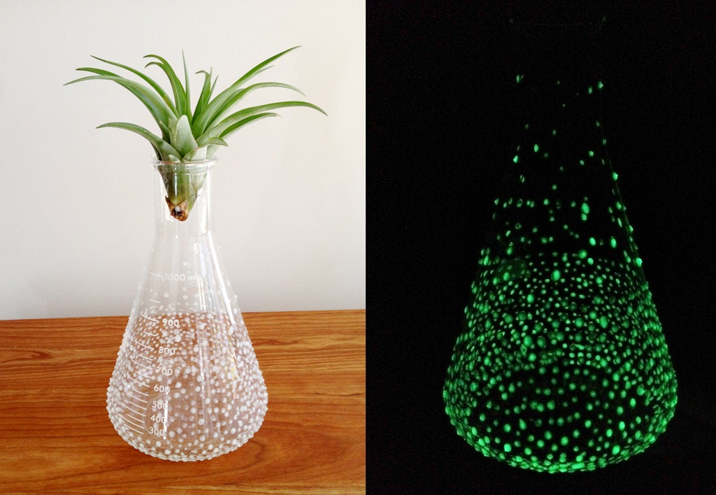 glow in the dark air plant planter. made from a vintage lab beaker. Desk curiosity