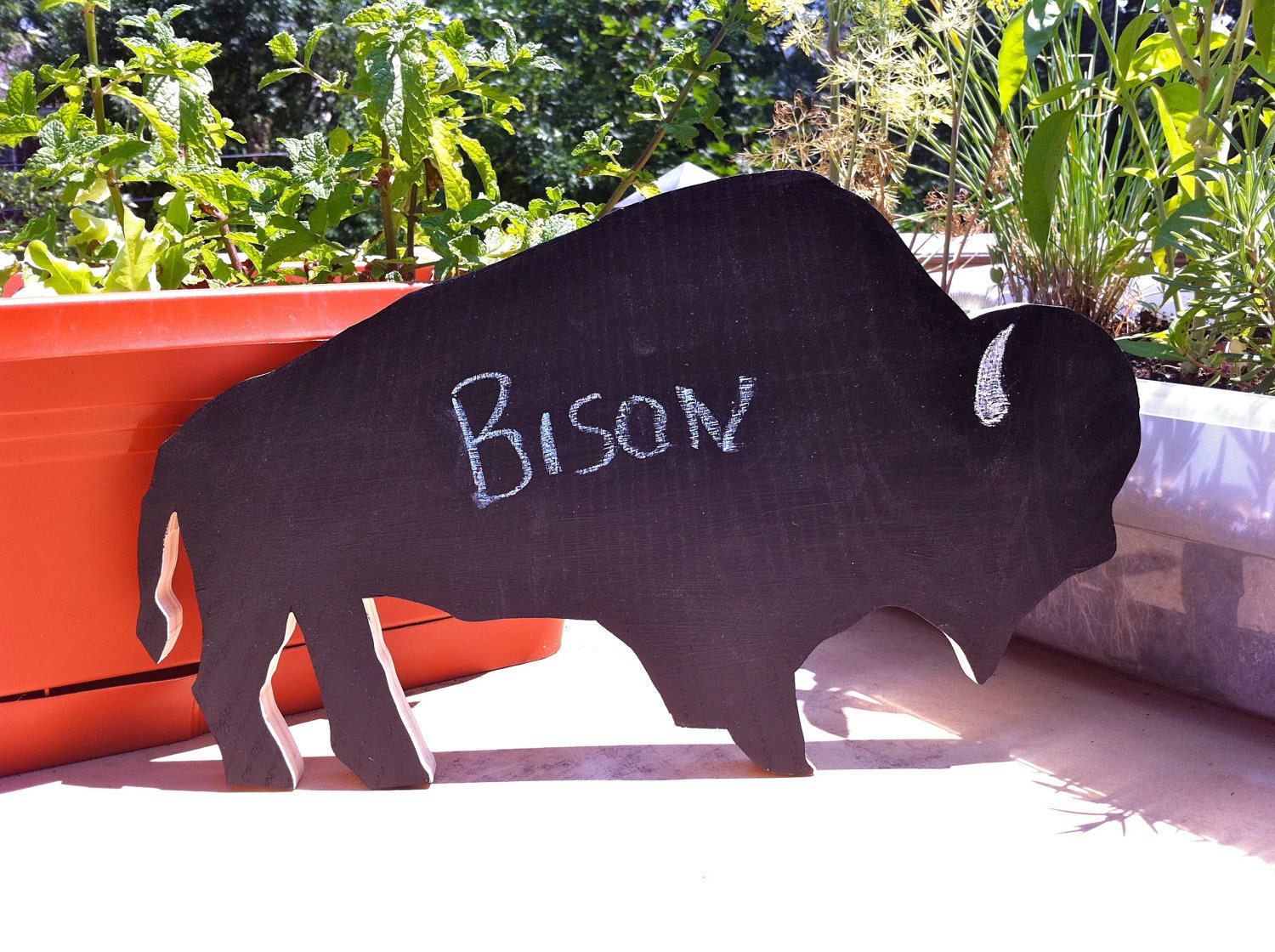 Bison Chalkboard