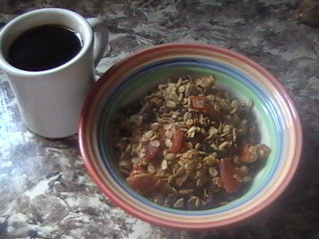 Make Your Own Quick and Easy Delicious Gluten Free/Organic Granola - A Must Have - PDF INSTANT DOWNLOAD