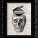 Music On The Brain Skull - Vintage Dictionary Print Vintage Book Print Page Art Upcycled Vintage Book Art