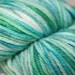 Morning Glories: Hand dyed Superwash 100% Merino Worsted