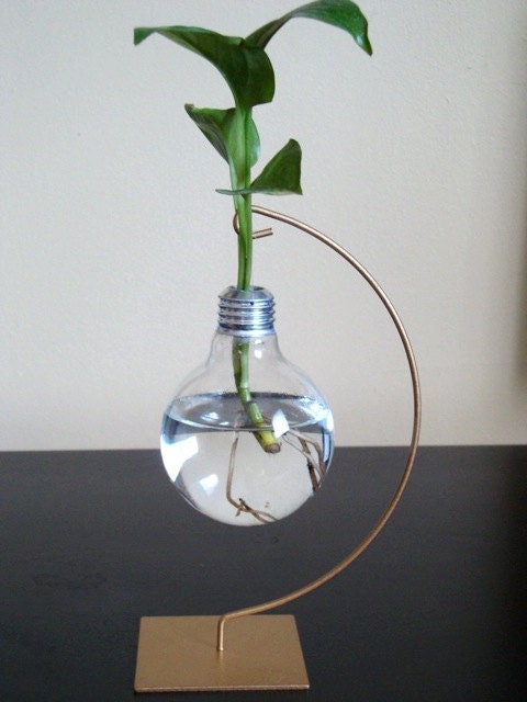 Floating Light Bulb Vase / Lightbulb Home Decor (With One Free Live Plant)
