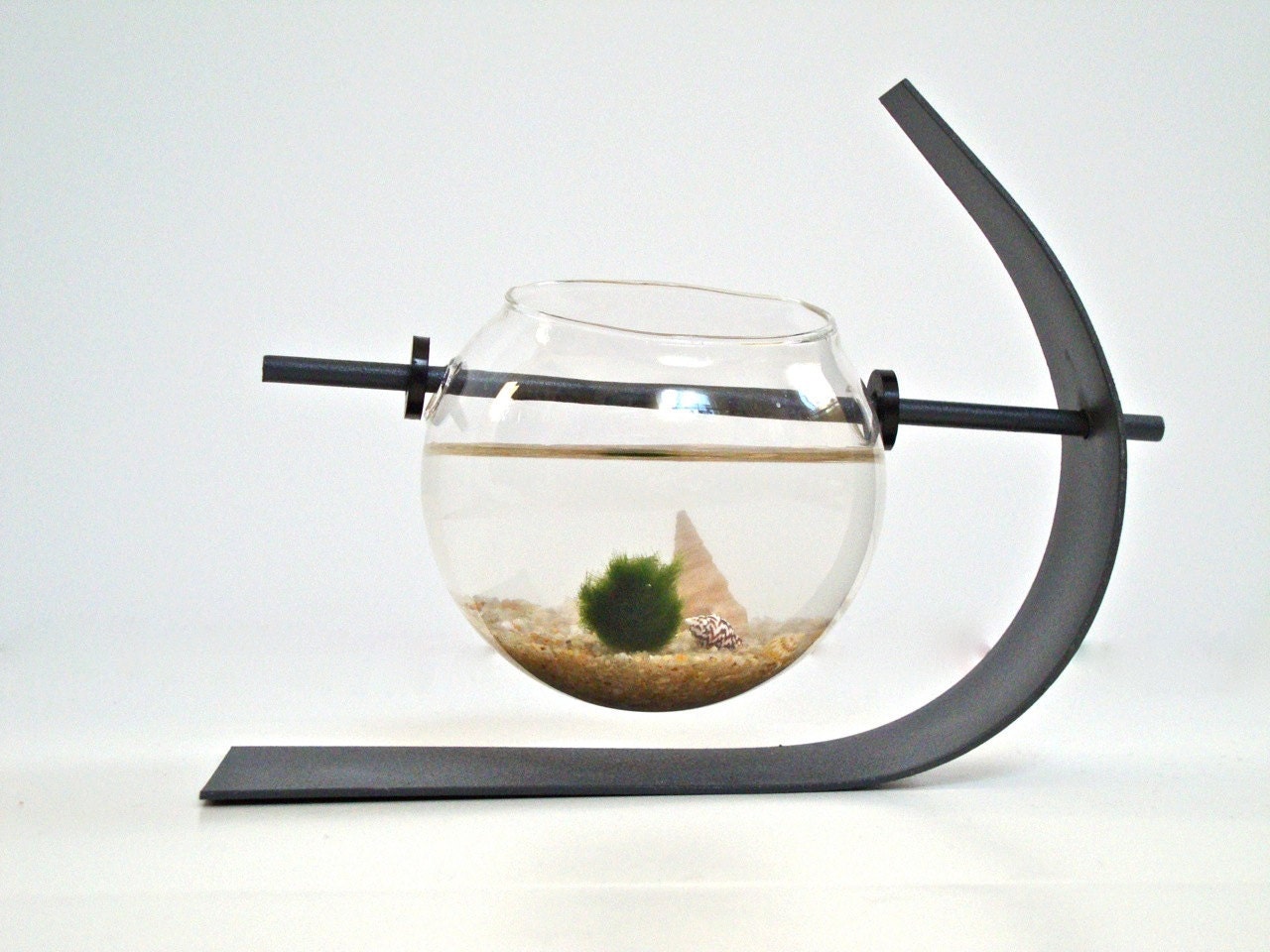 Marimo Moss Ball Modern Decor, Natural Modern Minimalist Table Centerpiece, Modern Aqua Moss Terrarium, Modern Home Decor Modern Table Decor