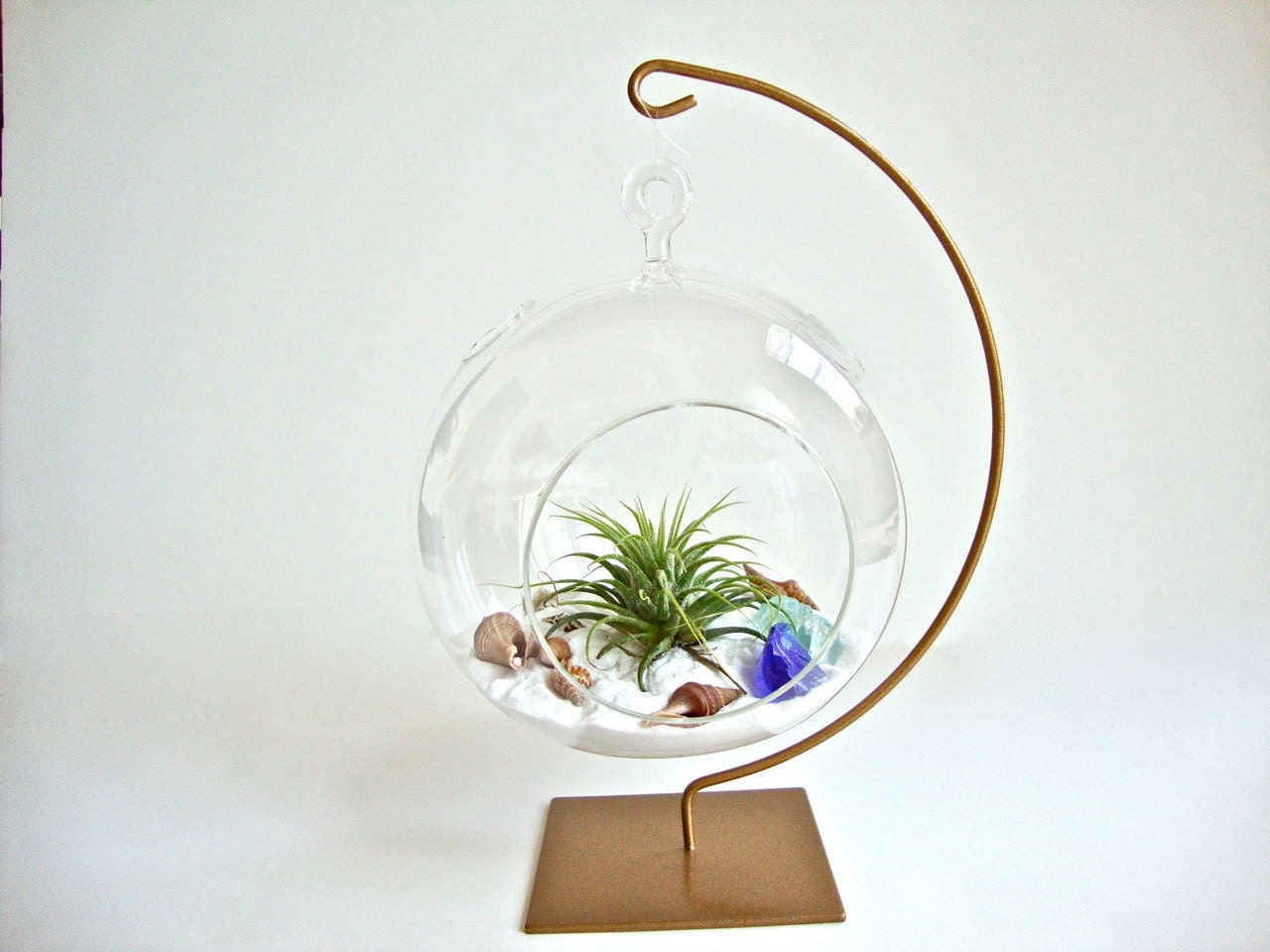 Hanging Glass Globe Air Plant Terrarium with Gold Painted Stand