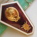 College of Art graduation pin from 70s,Soviet Vintage Pin - Badge, hard metal with enamel, Russia, Soviet union, USSR, red star