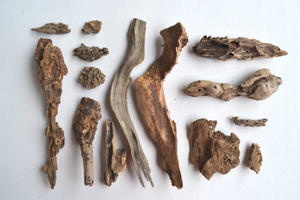 Driftwood 13 pieces gorgeous INSTANT COLLECTION great for altered art, crafts, sculpture offered by Elizabeth Rosen