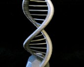 DNA Double Helix Science Gift 3D Printed