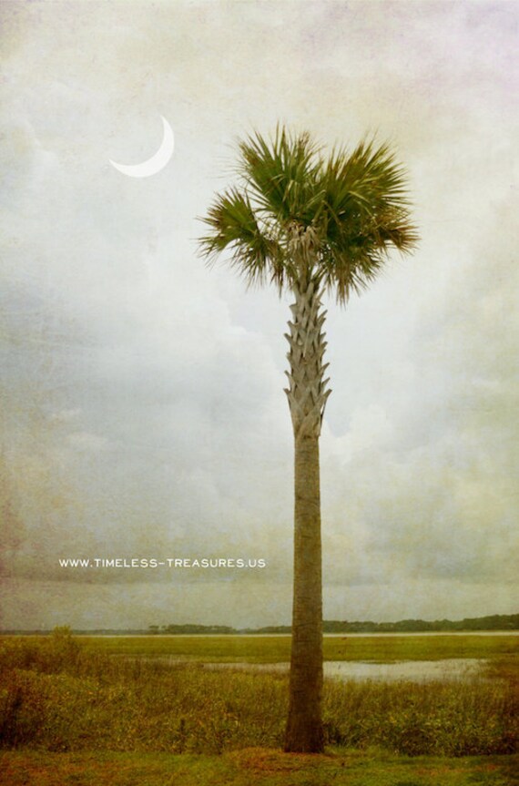 Items similar to South Carolina Palm Tree & Crescent Moon Note Cards