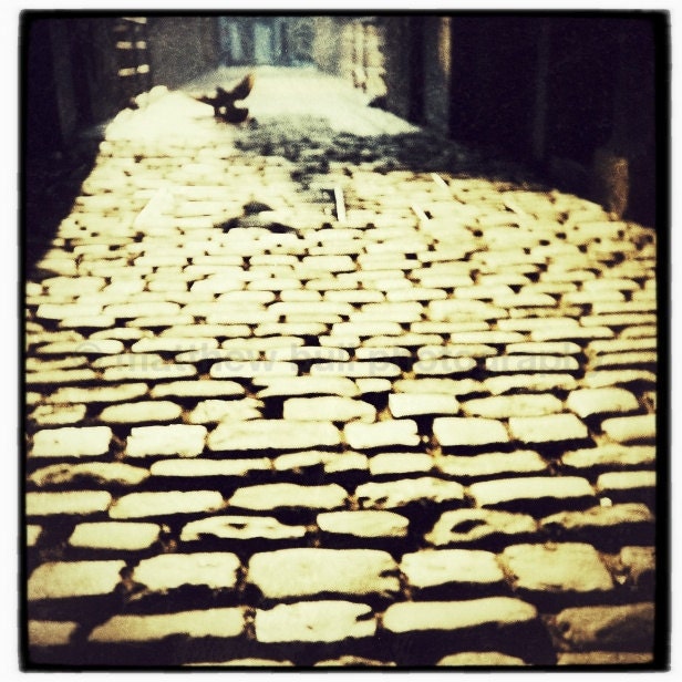 Flight of freedom - gold and black cobbled street - a shadowy bird in flight - 5x5 on 8x8 heavy matte paper