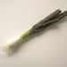 Spring Onion - Scallion - Green Onion - Shallots - Toy Food - Play Kitchen - Amigurumi - Kawaii - CROCHET PATTERN No.37
