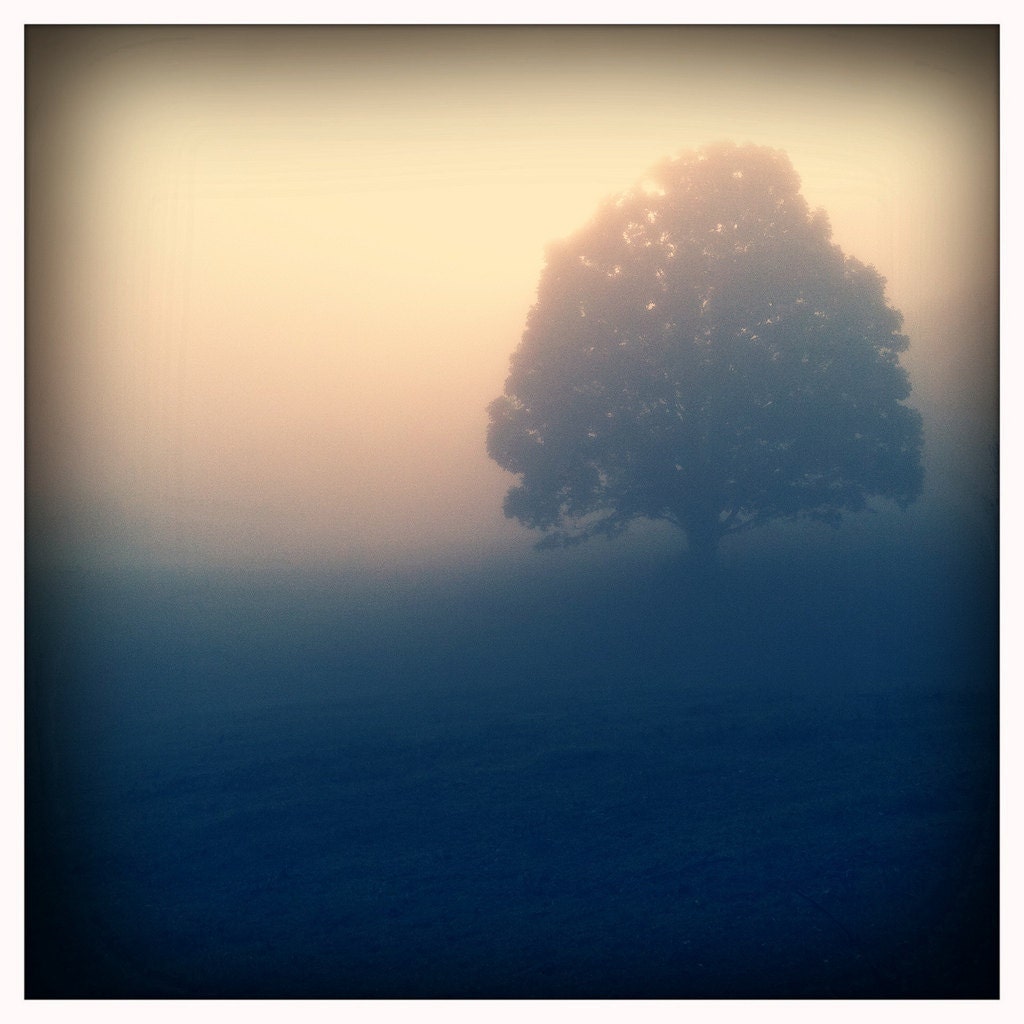 Sunrise (Photograph)