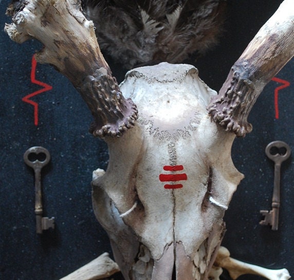 for men, hunters: whitetail skull with driftwood antlers, taxidermy mount with skeleton keys and wasp's nest