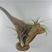 Driftwood & Air Plant Centerpiece Natural Decor Wood Art Unique Gift Fathers Day Gift Gifts under 50