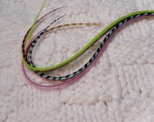 Feather Hair Extension, Pink, Turquoise, Grizzly, Kit