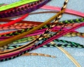 Long Feather Extensions, Bulk Hair Feathers, Beautifully Dyed Grizzly and Solid Hair Feather Extension Kit