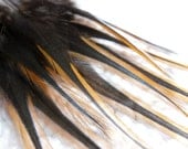 Craft Feathers, Black and Brown Furnace Rooster Feathers