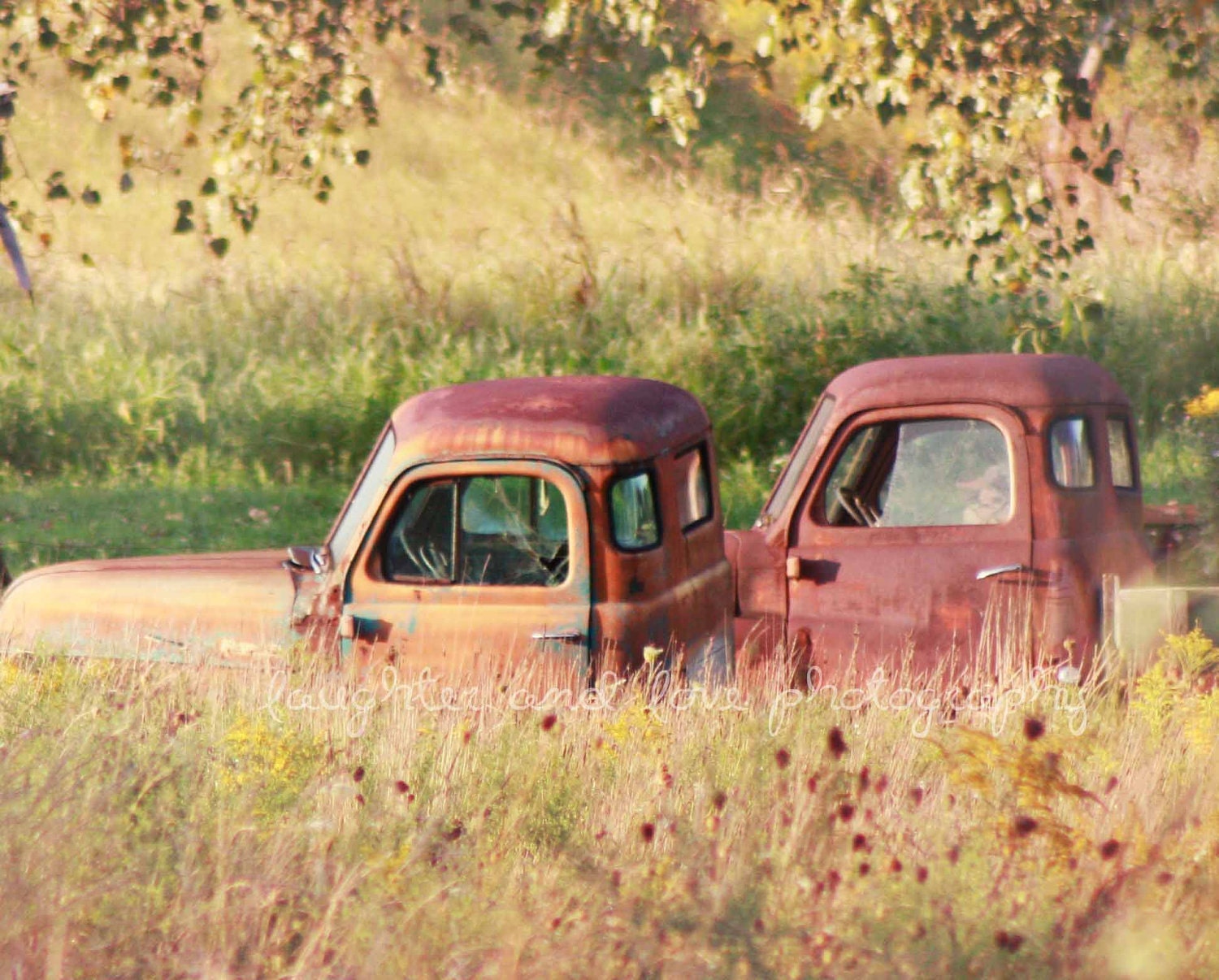 Rusty Trucks 8x10 Fine Art Photography  Masculine Unisex Country Modern Rustic Home Decor Wall Art