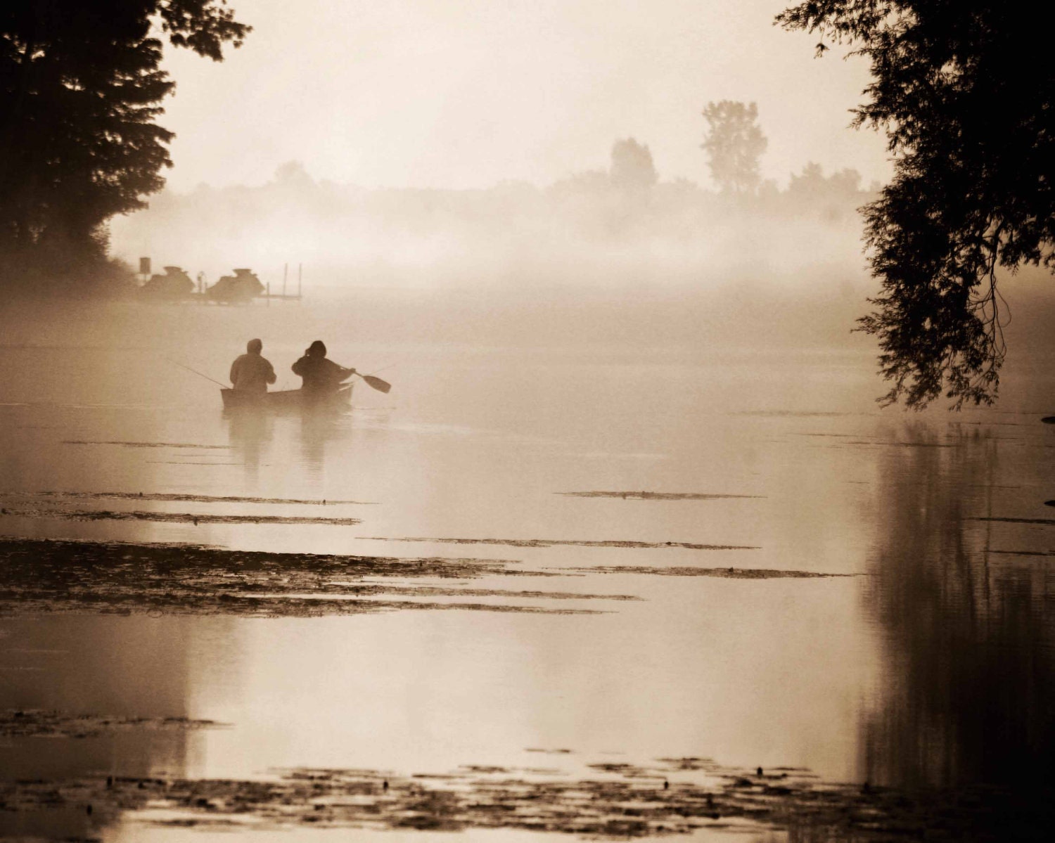 Misty Morning 8x10 Fine Art Photography Modern Vintage Shabby Chic Masculine Nautical Home Decor Wall Art