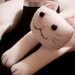 LongCat Travel Neck Pillow