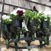 Recycled Wine Bottle Hanging Herb Garden Planter or Decretive Chandelier