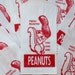 50 Retro Squirrel Peanut  Bags