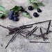 Blackthorn Spines: Witchcraft, Occult, Magic, Wicca