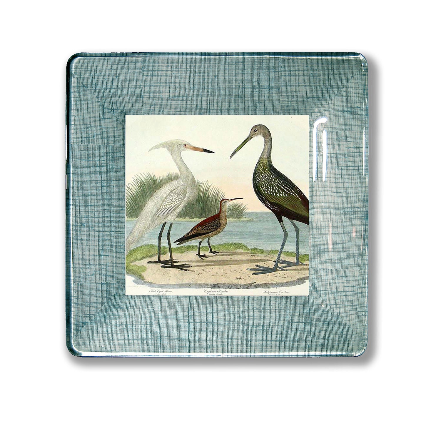 Bird Print / Sea Shore Birds / Bird Family / Beach Decor / Decoupage Plate Wall Hanging / wall art