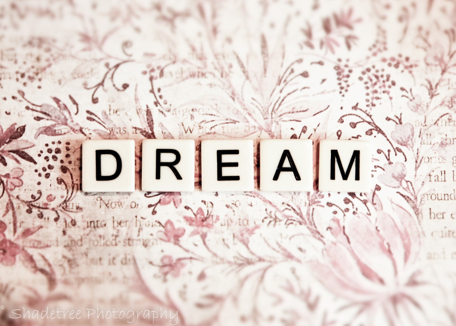 Valentines Day Love Dream Pastel Pink White Paisley Nursery Modern Decor Dreamy Pastel, 5 x 7 Word Art Print - ShadetreePhotography