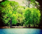 Photograph teal blue green brown, lakeside shoreline spring summer fresh, 11x14 fine art