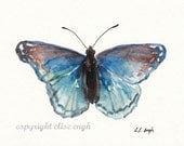 Blue and Orange Watercolor Butterfly, 5x7