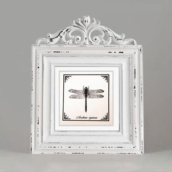 Cute little dragonfly silkscreened