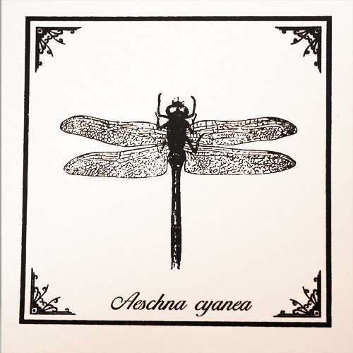Cute little dragonfly silkscreened