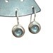 Vintage french hook earrings