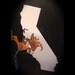 California Mirror