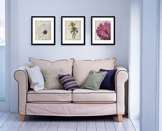 A White Daisy Close Up - The Botanical Series - Fine Art Print 8x10