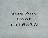 16x20 Print - Choose Any Fine Art Photograph to be Printed Size 16x20