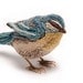 Blue Tit Small Fabric Bird