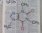 Caffeine - Chemistry Molecular Diagram - Dictionary Art Print - Upcycled Vintage Paper - 7-3/4 x 10-3/4