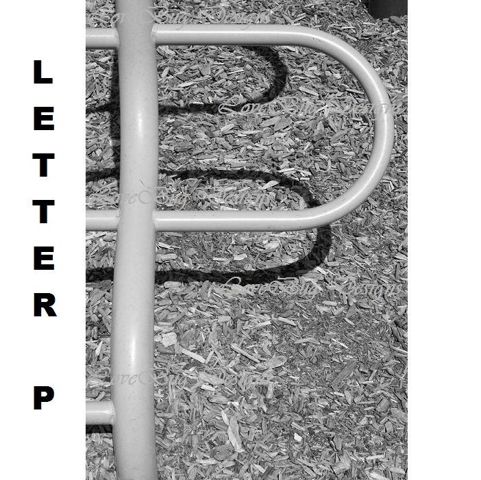 Items similar to Alphabet Photography Letter P on Etsy