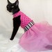 CoolCats Pink and Black Polka dot Cat Tutu Dress for Birthday Party or Easter