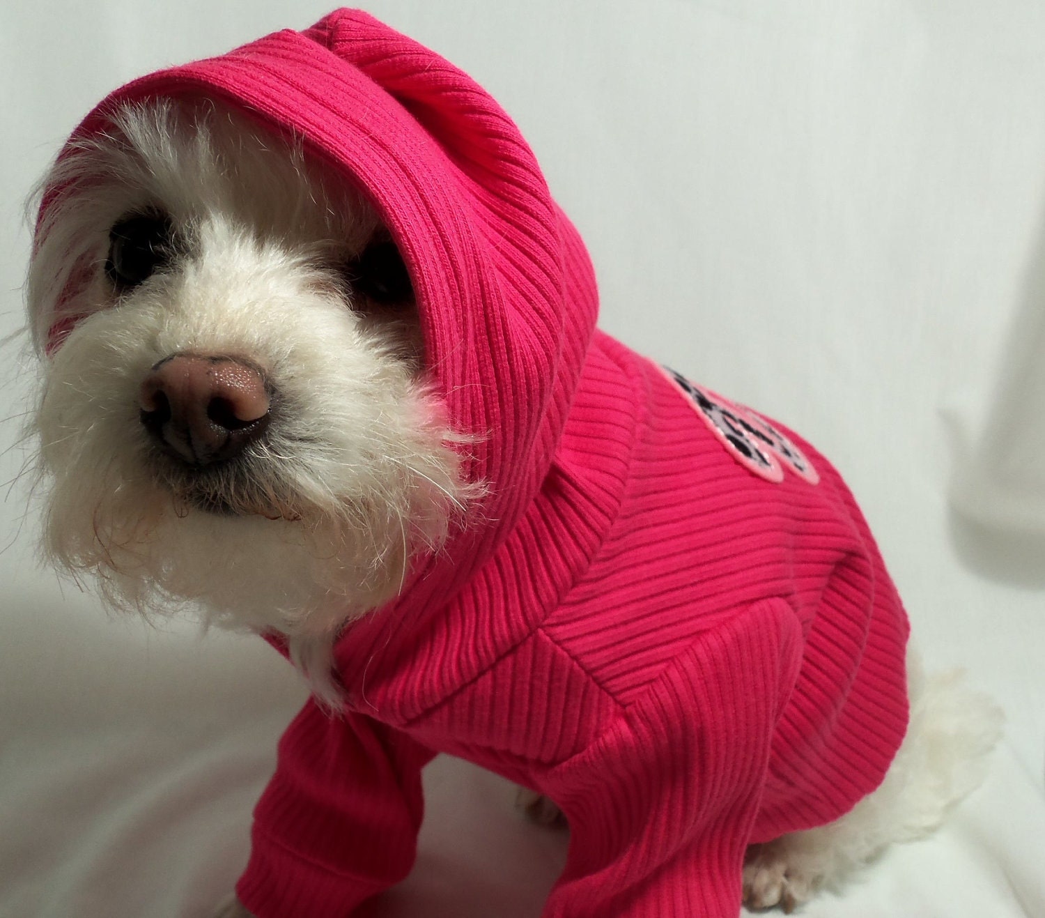 RockinDogs Hot Pink DIVA Knit Dog Hoodie