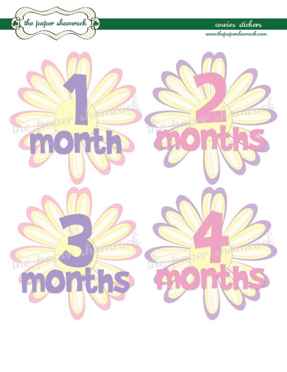 Flowers Monthly Onesies Stickers, Baby Stickers for Onesies, Month Stickers Il_570xn