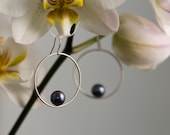 Black Pearl Earrings - Black Peacock Pearl Hoop Earrings - Sterling Silver - Free Shipping