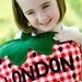 Felt Strawberry Picnic Pillow DIY PDF Pattern