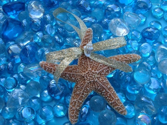 Starfish Wedding Favor or Christmas Ornament - with Gold Glitter