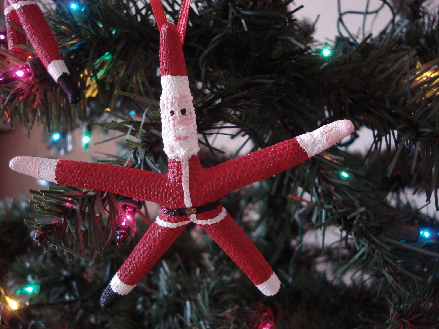 Starfish Christmas Ornament - REAL Starfish