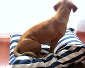 Indoor/Outdoor Dog Bed, Navy, Nautical, Beach, Blue, White, Modern, Large, Medium Dog