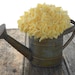 Shabby Chic Fabric Flowers in Distressed Metal Watering Can --- Ready to Ship